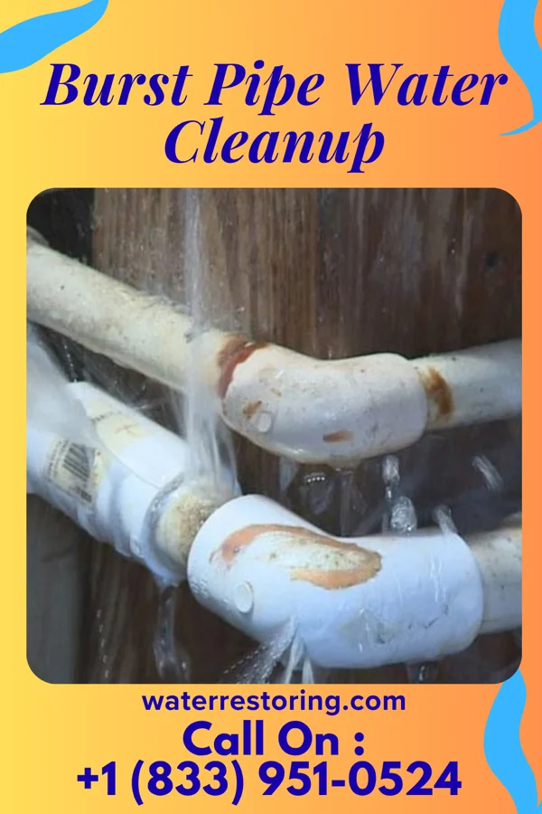 Burst Pipe Water Cleanup in New Cumberland, PA