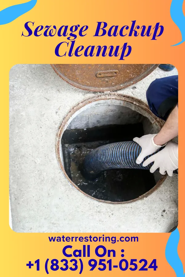 Sewage Backup Cleanup in New Cumberland, PA
