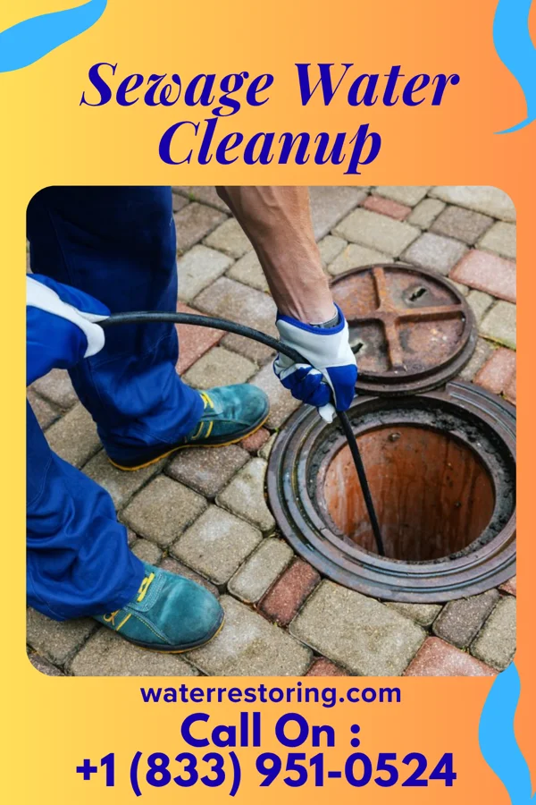 Sewage Water Cleanup in New Cumberland, PA